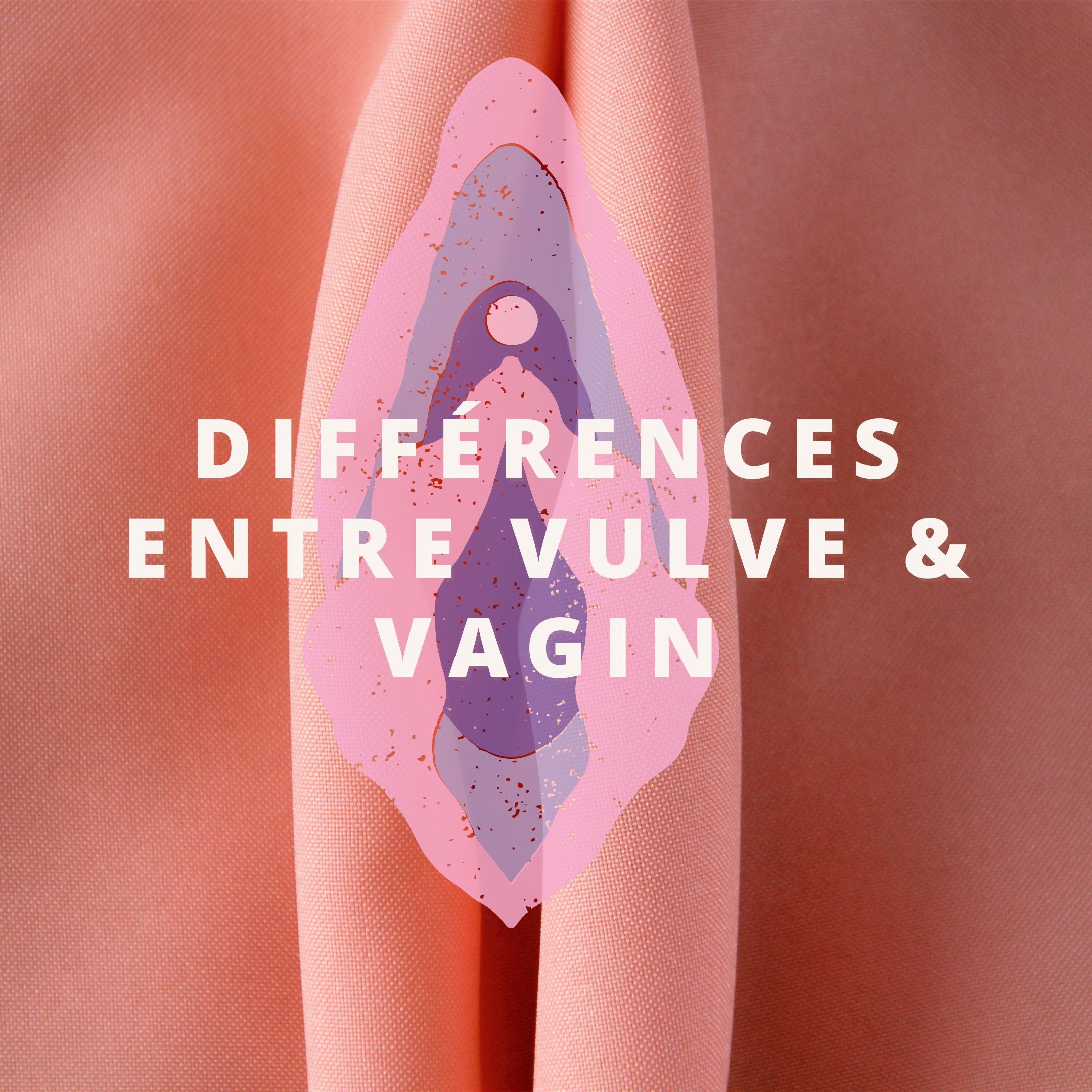 Vulve vs Vagin : Comprendre les différences pour mieux prendre soin de soi
